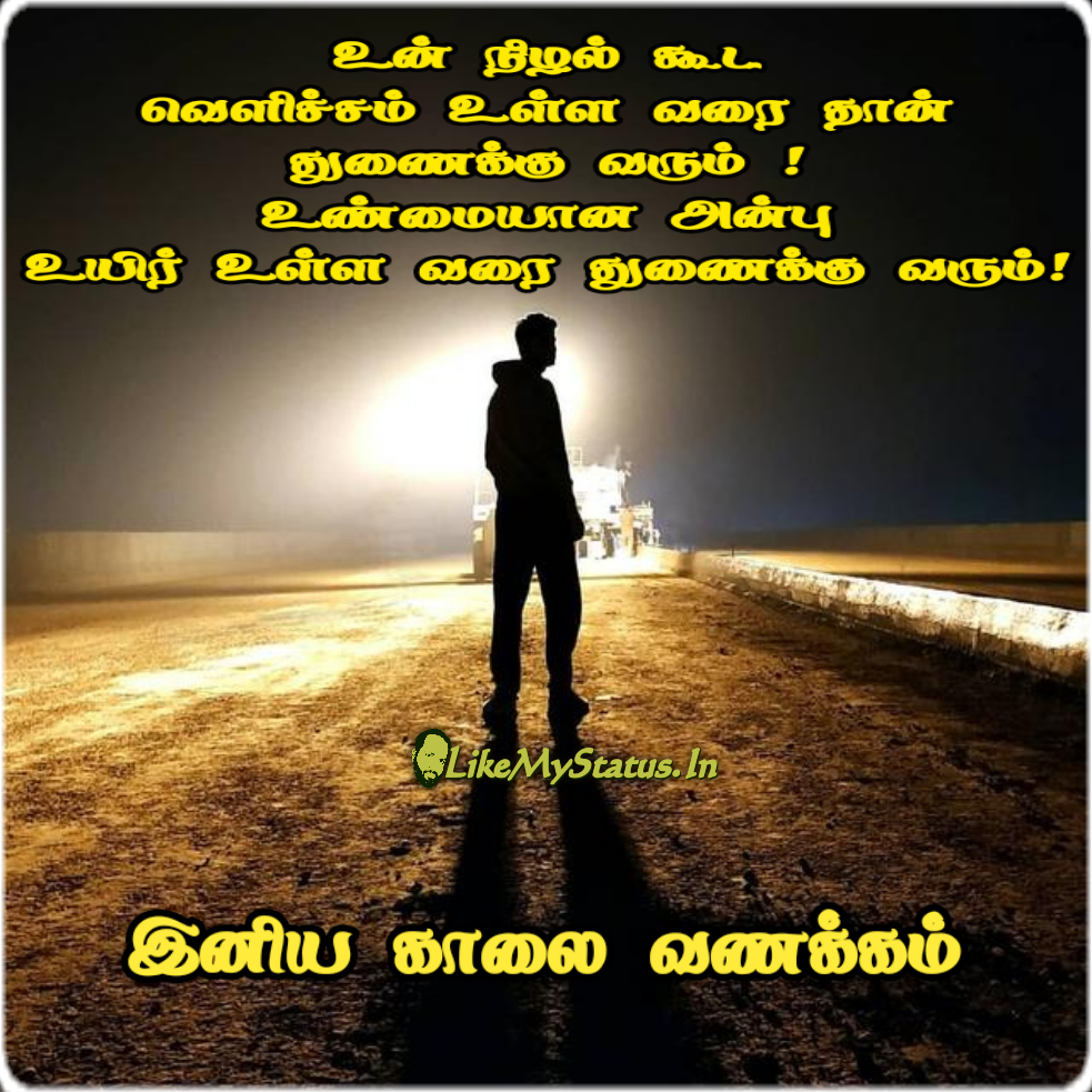 Featured image of post Anbu Whatsapp Status Kavithai In Tamil / New tamil whatsapp status love,telugu whatsapp status,best tamil whatsapp status images tamil,love tamil status,whatsapp status download,tamil love status for whatsapp and many more status.