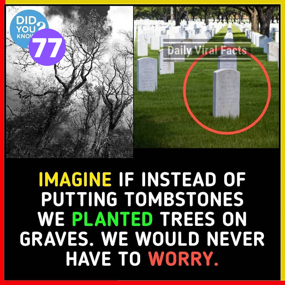 [100+] Amazing Facts That You Should Know #8