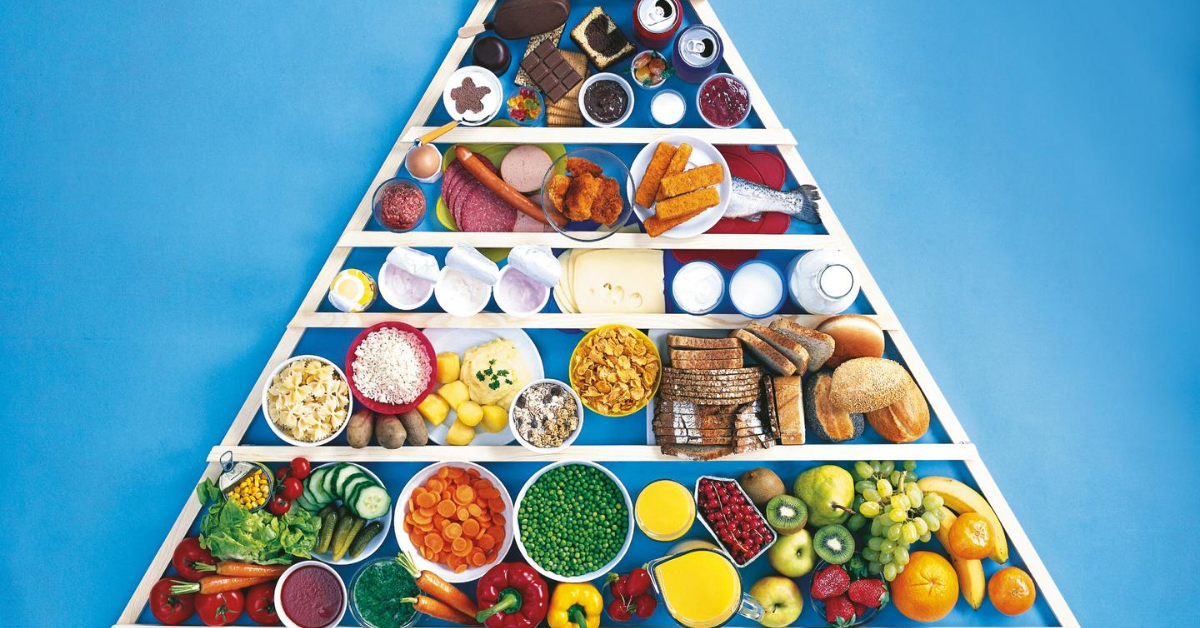 What Is The Food Pyramid And What Are The 5 Parts Of The Food Pyramid What Is The Food Pyramid And What Are The 5 Parts Of The Food Pyramid
