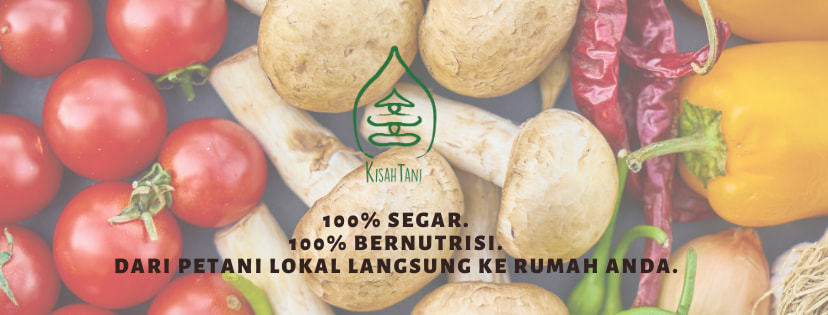 Lowongan Kerja Remote Negosiasi Data Analyst (KisahTani)