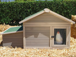 chicken coop build plans coops chickens building shed runs houses diy easy urban dummies memphis ar west 1000 backyard modular