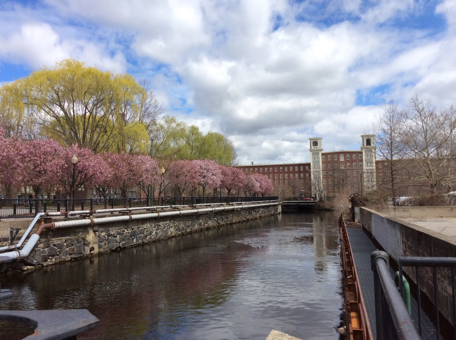 Life From The Roots Seven Movies Made in Lowell, Massachusetts