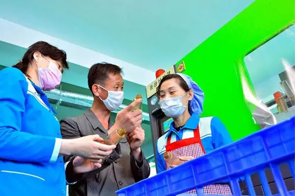 (1) DPRK recycling industry