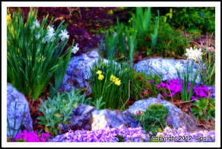 spring rock garden