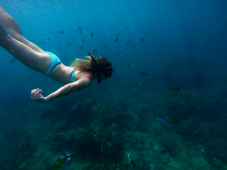 snorkelling maya bay thailand