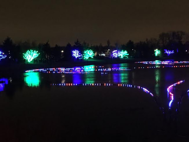 Illumination at The Morton Arboretum in Lisle, Illinois lights up nature with dynamic multimedia displays.