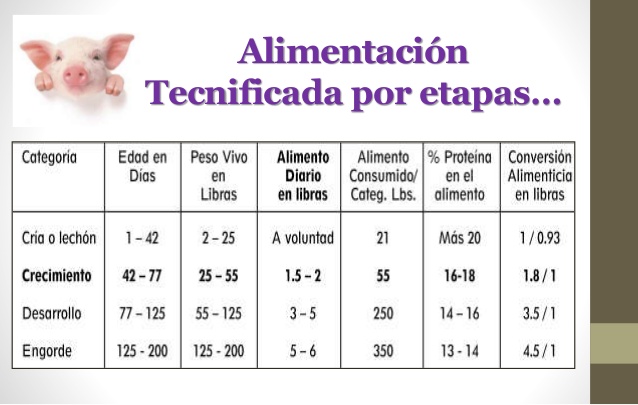 Tabla De Alimentación De Cerdos Por Etapas Pdf