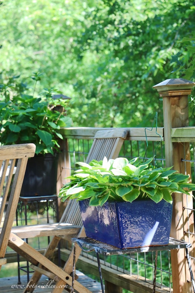 Botanic Bleu How to Get Your Porch and Deck Ready for Summer