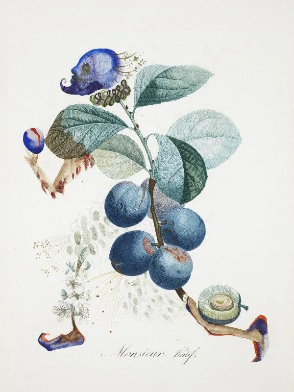 Salvador-Dali-FruitDali-Blueberries