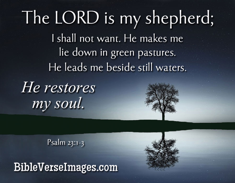 Walking with the Bible: 시편 23편 본문 설명
