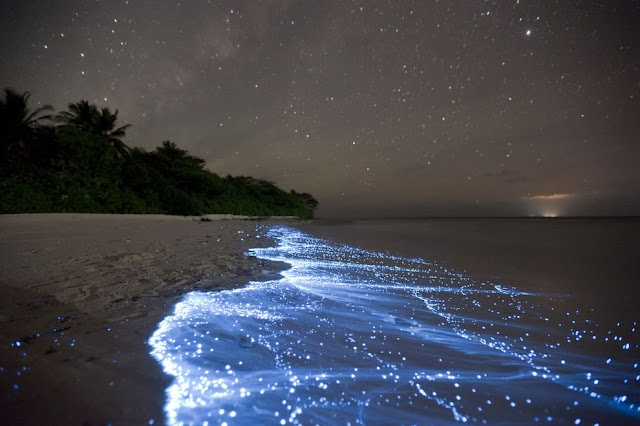 Sea of Stars on Vaadhoo Island: Maldives 8 Places to Visit Before You Die