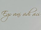 The popular Latin phrase, "Ego Veni Vidi Vici" from the Roman era around 46BC by Julius Caesar. Meaning I came; I saw; I conquered. This design will add an elegant feel to any room.  The quote will be fully weeded and papered for easy application.