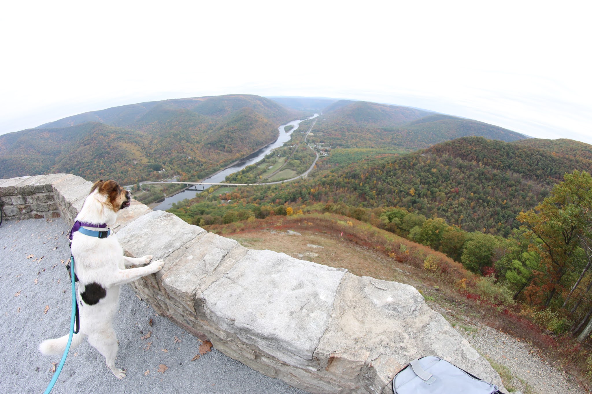 Hyner View State Park All Season Views from one of PA's Finest Vistas