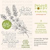Power Poppy Lavender Sprigs
