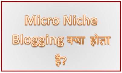 Micro Niche Blogging Kya Hai, Micro Niche Keywords, Micro Niche Website, Best Micro Niche, Micro Niche Means, Micro Niche Blog Ideas, hingme