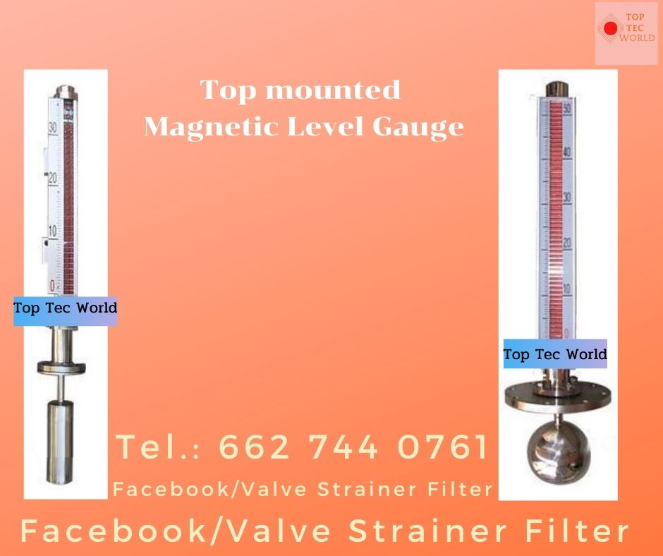 StrainerFiltervalve Top Mounted Level Gauge_Level Gauge