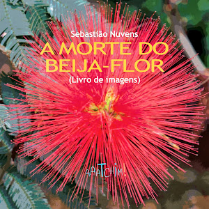 A morte do beija-flor (livro de imagens), de Sebastião Nuvens - R$ 25,00