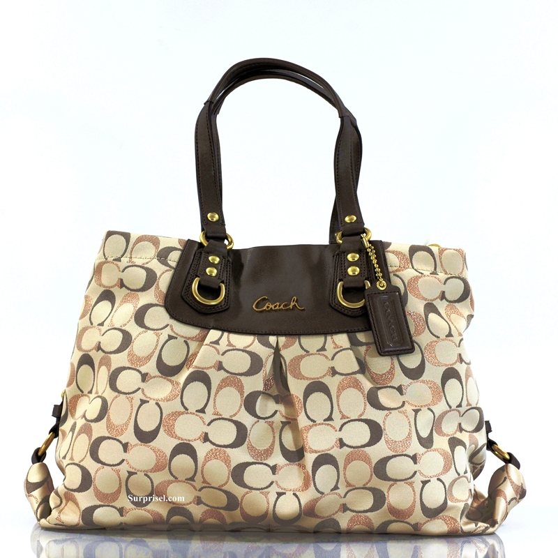 Luxury Branded Bags Up to 75% Off: Coach 20263 - Ashley Signature ...