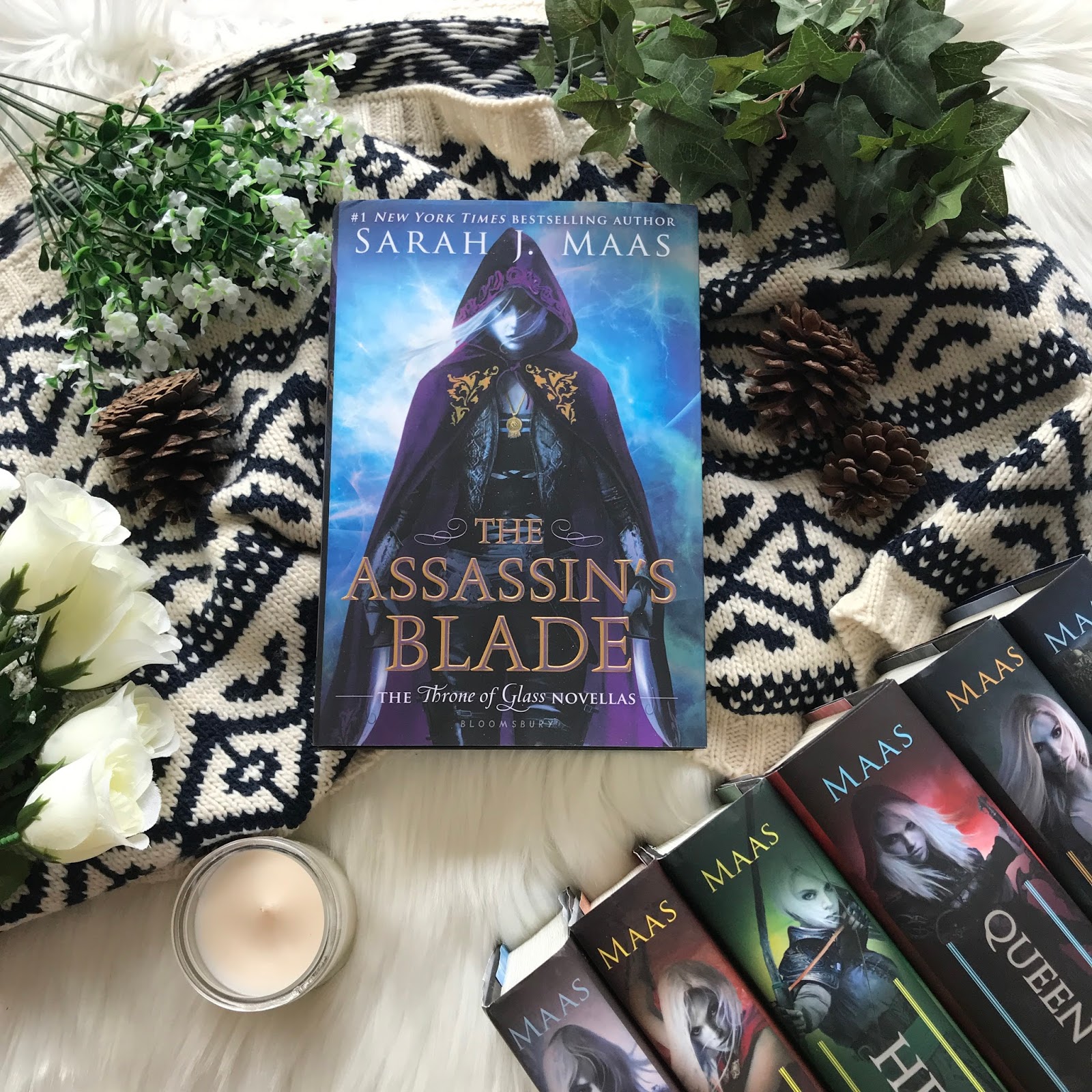 Wish I Read This First! The Assassin