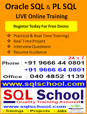 SQL School Training Institute Training Projects and Placements: Looking ...