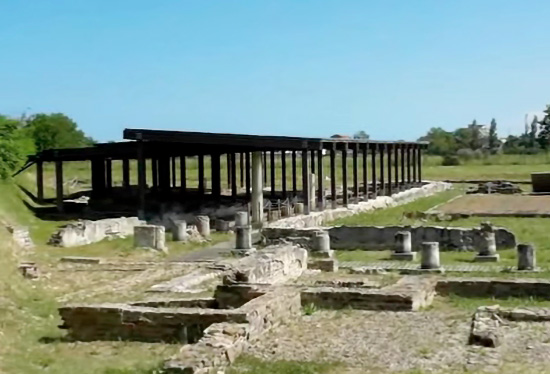 HELVIA RECINA (Marche)