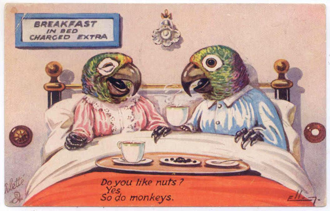 Breakfast in Bed Charged Extra Cute Animal Vintage Postcards From the