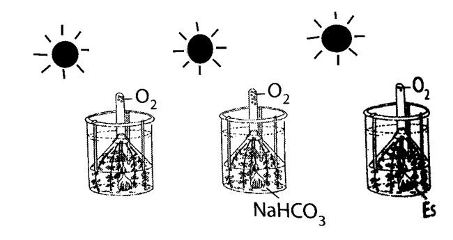 Perubahan biologi image