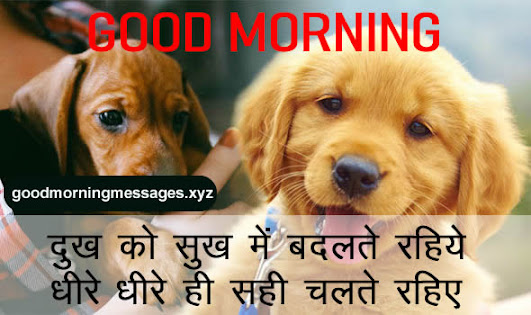 Cute Puppy Good Morning Pictures With Message In Hindi
