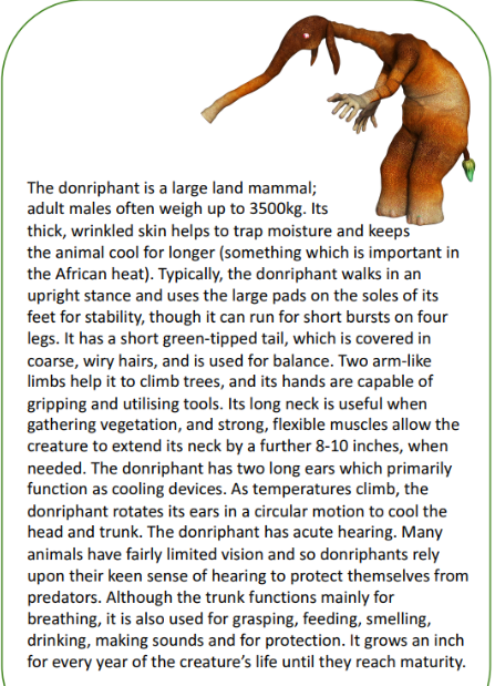 Non chronological report examples ks1 picture