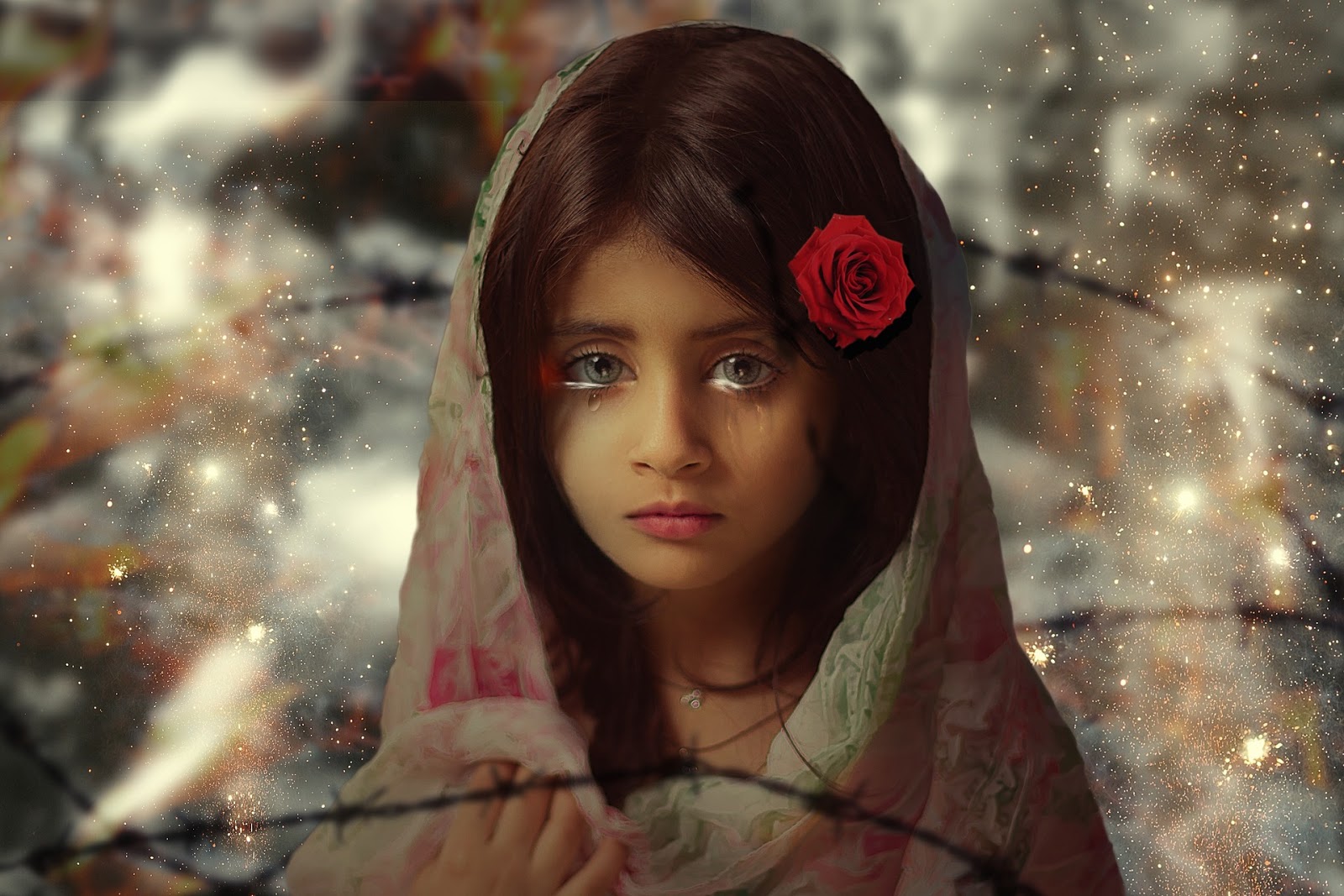 whatsapp dp