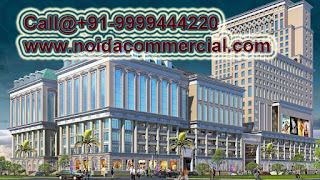 Commercial Shops in Central Noida