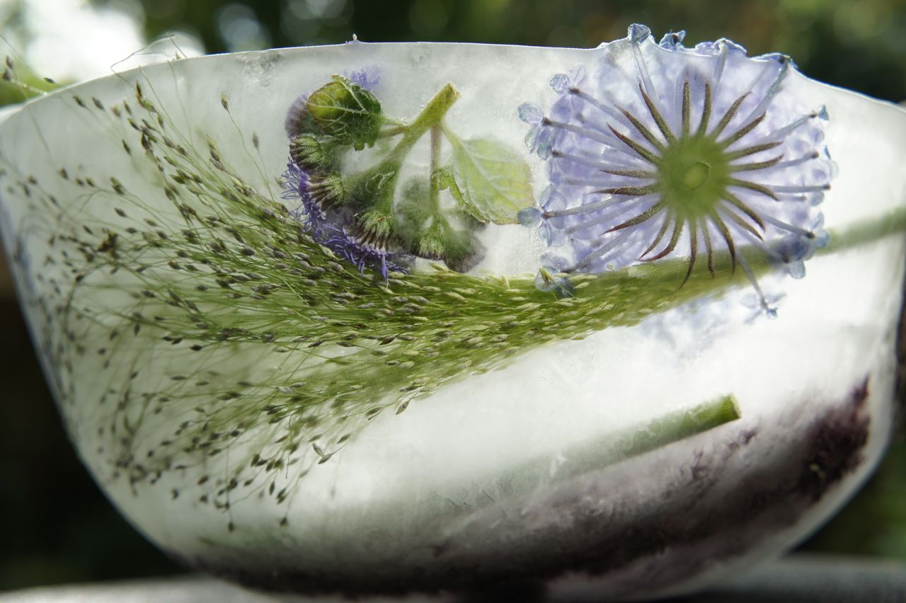 Foragefor... news: Ice Flower Bowls