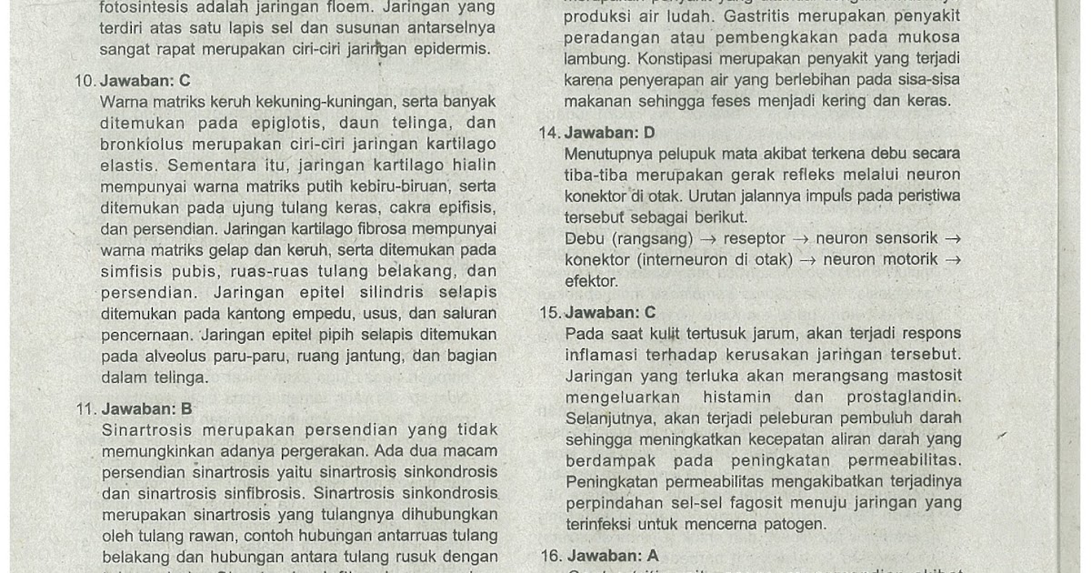 Contoh Soal Evolusi Hardy Weinberg BR1M Online Contoh Soal Evolusi Hardy Weinberg BR1M Online