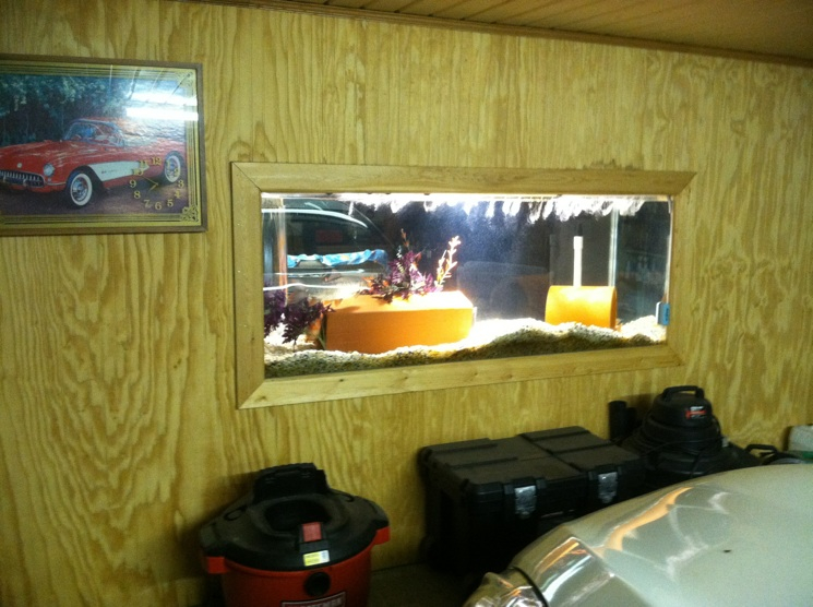 Giant Aquariums 300 Gallon Aquarium!!! 700 (Dunn, NC)