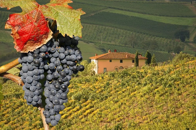 17. Tuscany Regions of Italy 17. Tuscany Regions of Italy