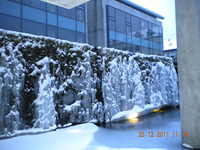 City center -water fall freezed