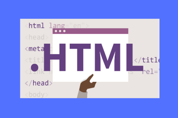 Pengenalan Dasar HTML dan Contohnya