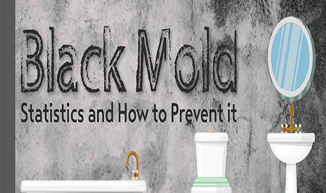 How to Get Rid of Black Mold? 