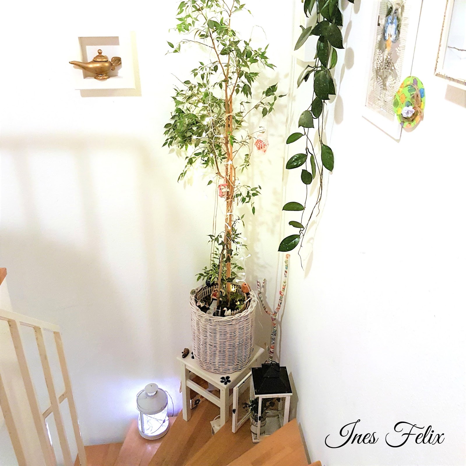 Ines Felix - Kreatives zum Nachmachen: Minigarten unterm Baum