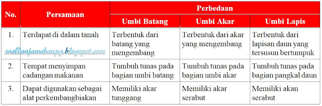 Kunci Jawaban Buku Siswa Kelas 3 Tema 1 Subtema 4 Halaman 168, 169, 172