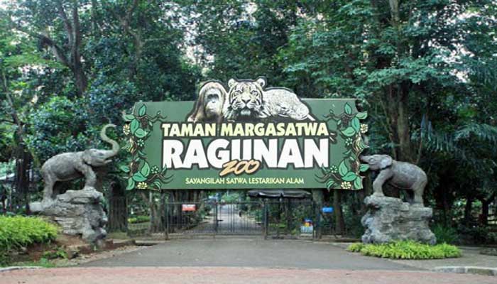 MENELUSURI KEBUN BINATANG RAGUNAN DI JAKARTA Wisata