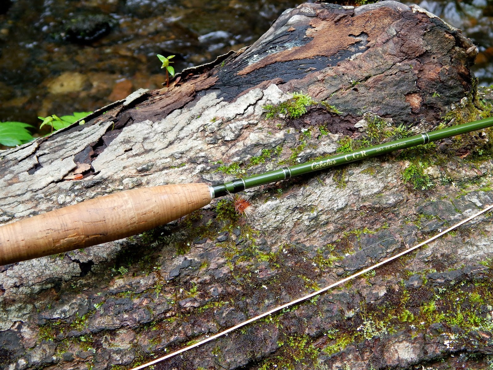Glass Trout Rod Blank at Eleanor Wilkerson blog
