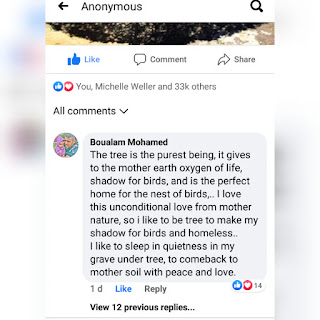 Comment about tree being