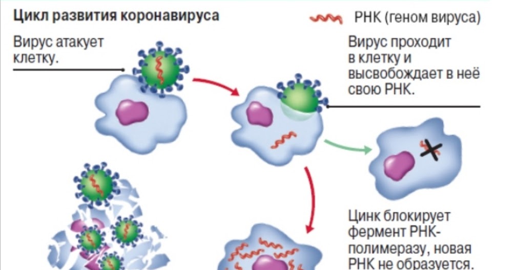 Ресурсное клеточное питание!