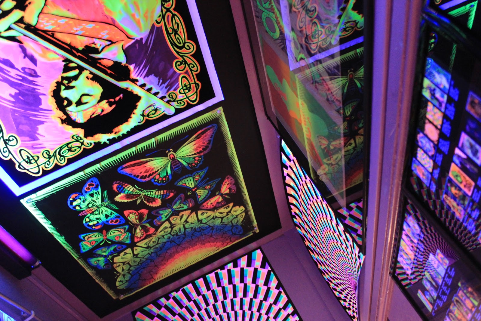 Electric Ladyland, Museum of Fluorescent Art, Amsterdam Fox & Feather