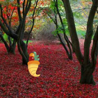 thanksgiving-red-autumn-forest-escape.jpg