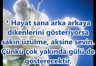 Yaşanan Acıların Sonu Facebook Duvar Yazısı Yaşanan Acıların Sonu Facebook Duvar Yazısı