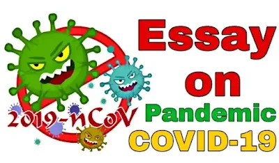 Essay on Pandemic covid-19