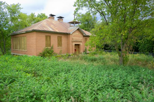 News from DD4's Cottage: August 26, 2010: from Aunt Liz's "readread"