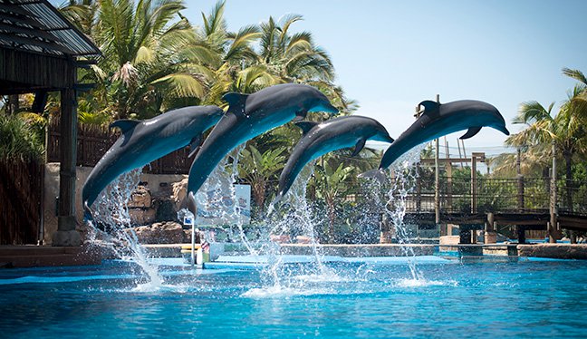 Explore Durban Best Places To Visit In Durban Beautiful Places On explore-durban-best-places-to-visit-in-durban-beautiful-places-on